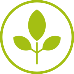 Green leaf in a circle on a white background, representing a plant icon